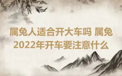 属兔人适合开大车吗 属兔2022年开车要注意什么