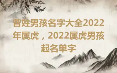 曾姓男孩名字大全2022年属虎，2022属虎男孩起名单字