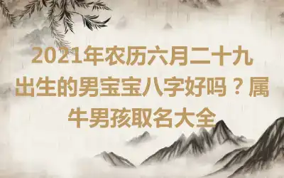 2021年农历六月二十九出生的男宝宝八字好吗?属牛男孩取名大全