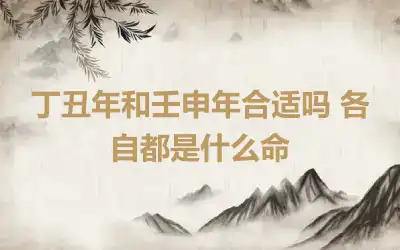 丁丑年和壬申年合适吗 各自都是什么命