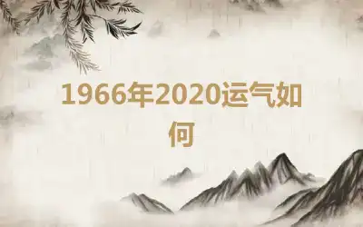 1966年2020运气如何