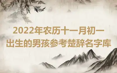 2022年农历十一月初一出生的男孩参考楚辞名字库
