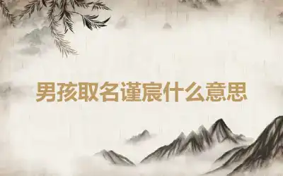 男孩取名谨宸什么意思