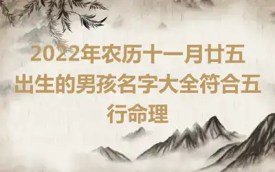 2022年农历十一月廿五出生的男孩名字大全符合五行命理
