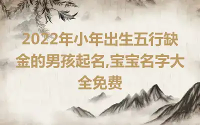 2022年小年出生五行缺金的男孩起名,宝宝名字大全免费