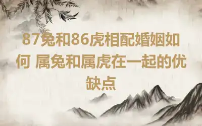 87兔和86虎相配婚姻如何 属兔和属虎在一起的优缺点