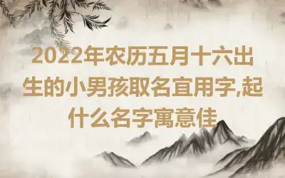 2022年农历五月十六出生的小男孩取名宜用字,起什么名字寓意佳