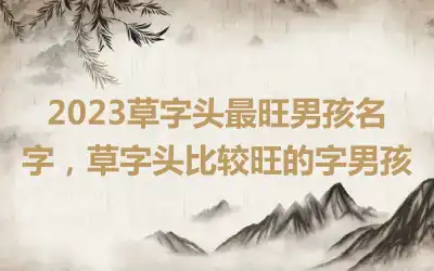 2023草字头最旺男孩名字，草字头比较旺的字男孩