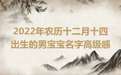 2022年农历十二月十四出生的男宝宝名字高级感