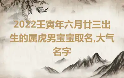 2022壬寅年六月廿三出生的属虎男宝宝取名,大气名字