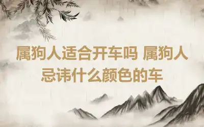 属狗人适合开车吗 属狗人忌讳什么颜色的车