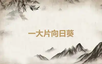 一大片向日葵