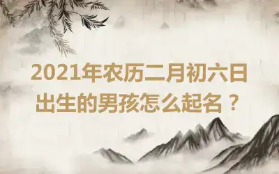 2021年农历二月初六日出生的男孩怎么起名？