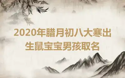 2020年腊月初八大寒出生鼠宝宝男孩取名
