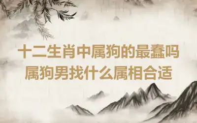 十二生肖中属狗的最蠢吗 属狗男找什么属相合适