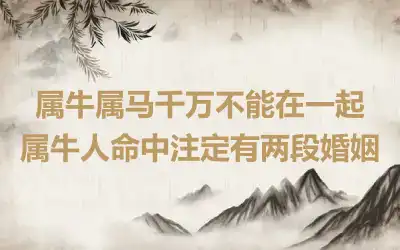 属牛属马千万不能在一起 属牛人命中注定有两段婚姻