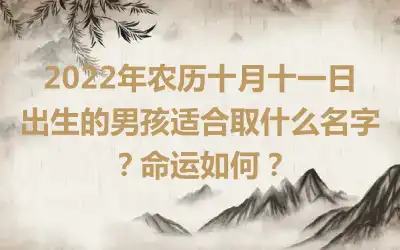 2022年农历十月十一日出生的男孩适合取什么名字？命运如何？