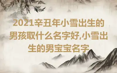 2021辛丑年小雪出生的男孩取什么名字好,小雪出生的男宝宝名字