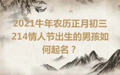 2021牛年农历正月初三214情人节出生的男孩如何起名？