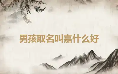男孩取名叫嘉什么好