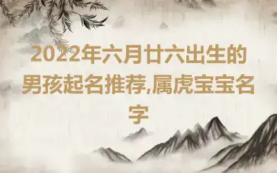 2022年六月廿六出生的男孩起名推荐,属虎宝宝名字