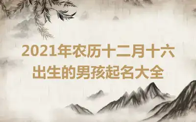 2021年农历十二月十六出生的男孩起名大全