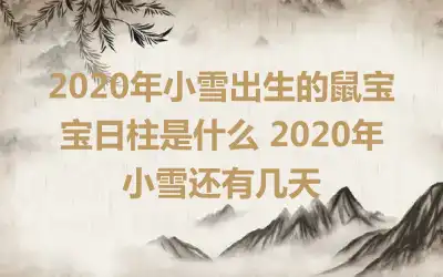 2020年小雪出生的鼠宝宝日柱是什么 2020年小雪还有几天