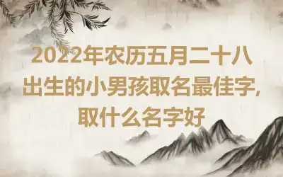 2022年农历五月二十八出生的小男孩取名最佳字,取什么名字好