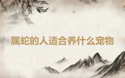 属蛇的人适合养什么宠物