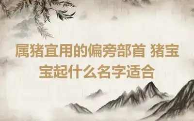 属猪宜用的偏旁部首 猪宝宝起什么名字适合