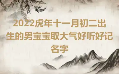 2022虎年十一月初二出生的男宝宝取大气好听好记名字