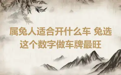 属兔人适合开什么车 兔选这个数字做车牌最旺