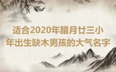 适合2020年腊月廿三小年出生缺木男孩的大气名字