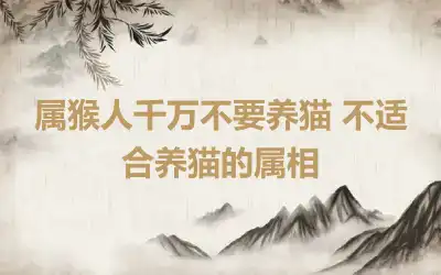 属猴人千万不要养猫 不适合养猫的属相