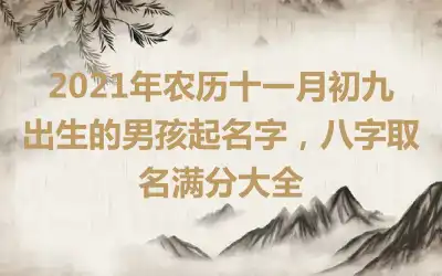 2021年农历十一月初九出生的男孩起名字，八字取名满分大全
