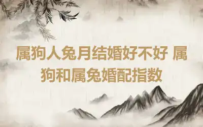 属狗人兔月结婚好不好 属狗和属兔婚配指数