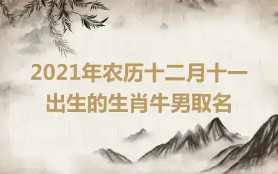 2021年农历十二月十一出生的生肖牛男取名