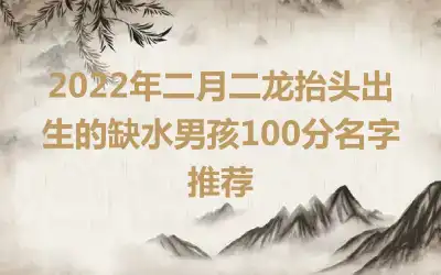 2022年二月二龙抬头出生的缺水男孩100分名字推荐