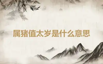 属猪值太岁是什么意思