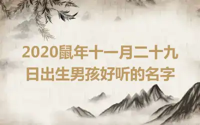 2020鼠年十一月二十九日出生男孩好听的名字