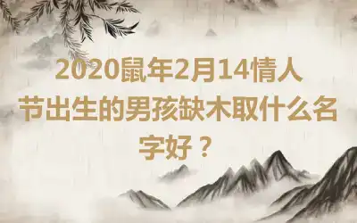 2020鼠年2月14情人节出生的男孩缺木取什么名字好？