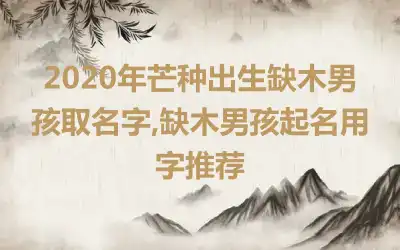 2020年芒种出生缺木男孩取名字,缺木男孩起名用字推荐