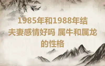 1985年和1988年结夫妻感情好吗 属牛和属龙的性格