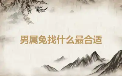 男属兔找什么最合适
