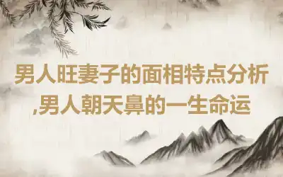 男人旺妻子的面相特点分析,男人朝天鼻的一生命运