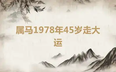 属马1978年45岁走大运
