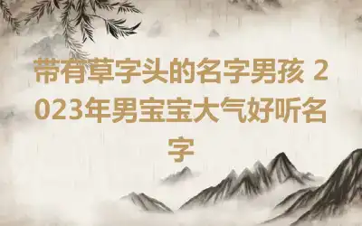 带有草字头的名字男孩 2023年男宝宝大气好听名字