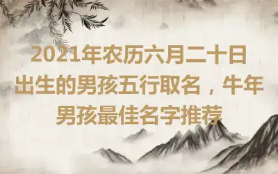 2021年农历六月二十日出生的男孩五行取名,牛年男孩最佳名字推荐