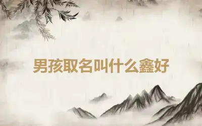 男孩取名叫什么鑫好