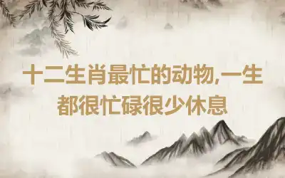 十二生肖最忙的动物,一生都很忙碌很少休息